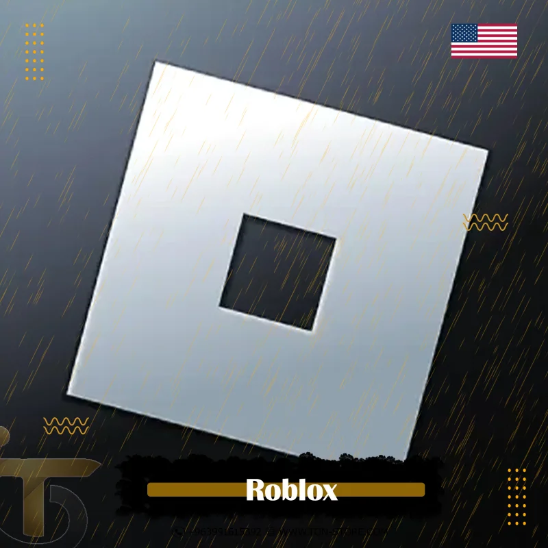 Roblox USA 10$